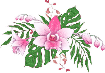 Exotic Paphiopedilum Orchid Bouquet Vector Image