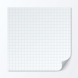 Graph Paper Sheet with Grid Texture vector image