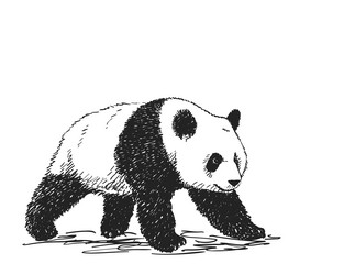 Portrait Panda Bear Wild Animal Realistic Stock Illustration 603128978