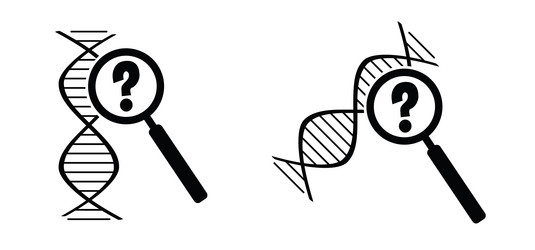 dna with magnifying glass string double helix vector image