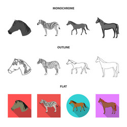isolated object trot and running icon set vector image