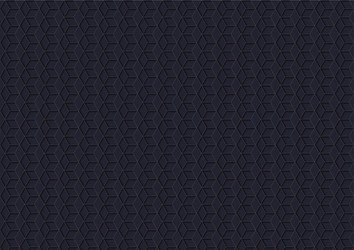 Dark Hexagonal Grid Pattern vector image