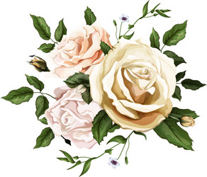 realistic watercolor rose bouquet leaves Vector Image