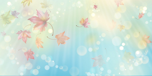 flying autumn leaves vector