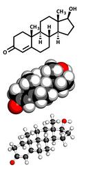 Male Erect Reproduction Vector Images (over 250)