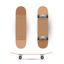 Skateboard wooden or plastic template in different vector