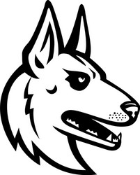 Belgian Malinois Head Mascot Vector Image