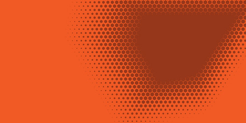 geometric abstract hexagon two color background vector image