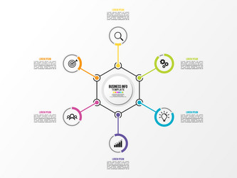 infographic design template with options steps vector image