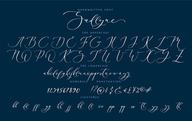 handwritten script cursive calligraphy playful vector image