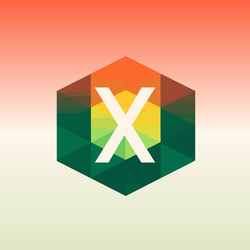 programming education hub filled gradient initial vector image