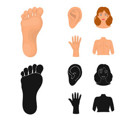 isolated object body and part symbol vector image