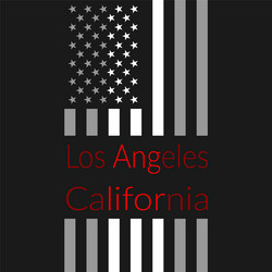 LA Sport T-Shirt - American Flag Vector Image