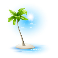 strovok tropical with palm trees vector