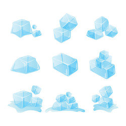 ice cube collection with flat design vector image
