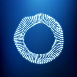 wireframe object with dots abstract 3d connection vector image