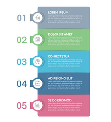 5 Step Workflow Infographic Template vector image