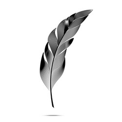 Black and white large curved fluffy feather vector