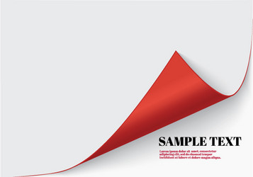 page curl with shadow on a blank sheet of paper vector image