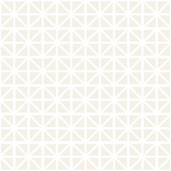 Geometric Square Pattern vector image