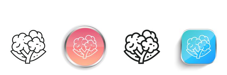 cauliflower icon thin linear regular and button vector image