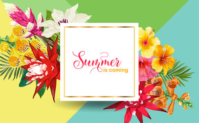 hello summer design with tropical flowers palms Vector Image