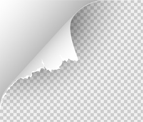 page curl with shadow on blank sheet paper vector image