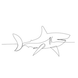 isolated single line drawing continuous shark vector image