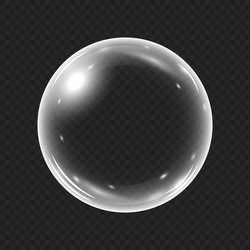 realistic water bubble isolated vector