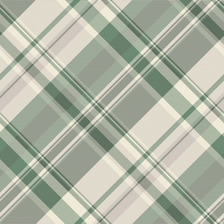 store plaid texture seamless proud pattern check vector image