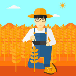 man with tablet computer on field vector image