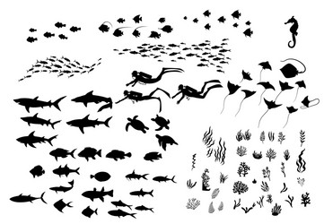 set silhouette sea wildlife vector