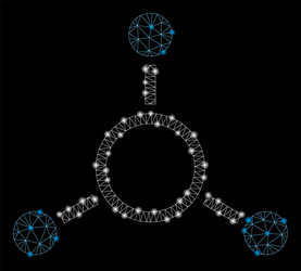 Glossy mesh carcass radial structure with light vector