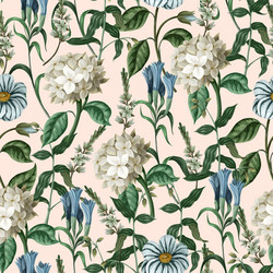 seamless botanical pattern with hydrangeas vector image