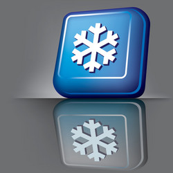 snowflake button vector image