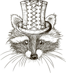 Cute Raccoon Sketch Vector Image