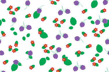 pattern of raspberry with flower and leaf vector image