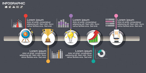 Timeline infographic chart with many color design vector