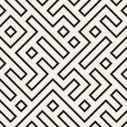 irregular maze line lattice abstract geometric vector image