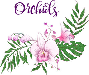 Orchid Floral Frame Vector Image