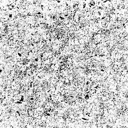 grunge dots and points texture background vector image
