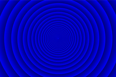 concentric circle pattern vector image
