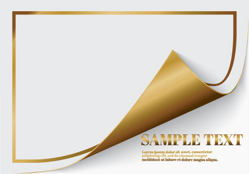 page curl with shadow on a blank sheet of paper vector image