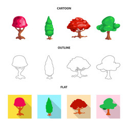 isolated object of tree and nature icon vector image