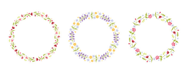 round flower frames with different patterns vector image