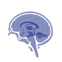 Human brain symbol anatomy in side view Royalty Free Vector