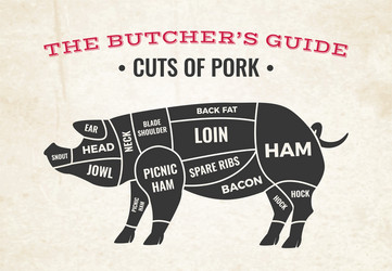 Cuts of pork butchery diagram vector