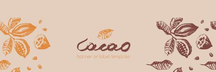 chocolate banner template with cocoa beans pattern vector image