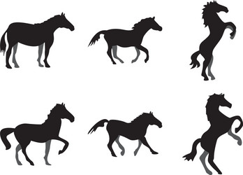 Horse Icon Collection Vector Image
