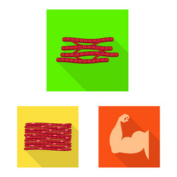 isolated object muscle and cells icon vector